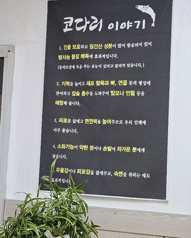 코다리 효능