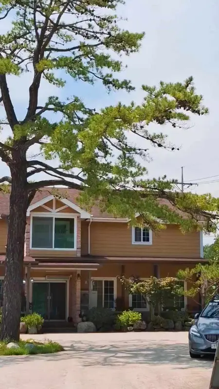 소나무집약초백숙 식당 외관