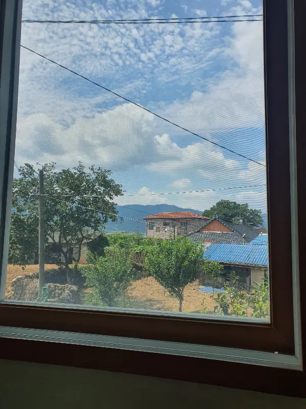 구례우리밀팥칼국수 콩국수