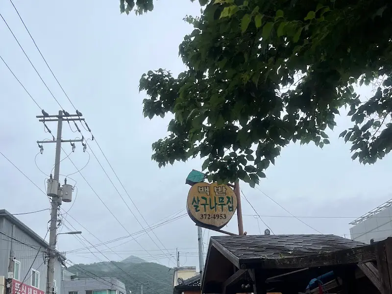 삼구나무집 간판