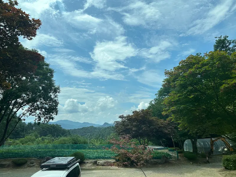 식당 주변 풍경