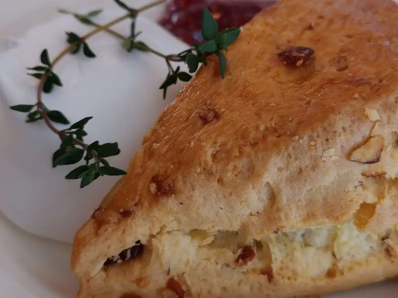 스콘 클로즈업 샷