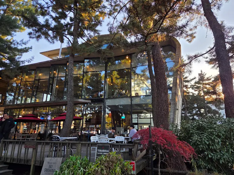 소나무 숲에 둘러싸인 테라로사 사천점 외관