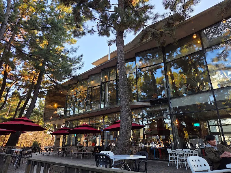 테라로사 사천점 외부 테라스 좌석과 건물 전경