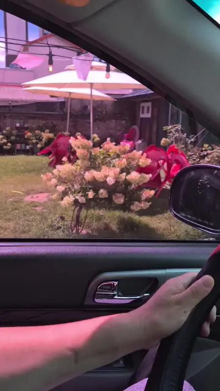 식당에서 바라본 풍경