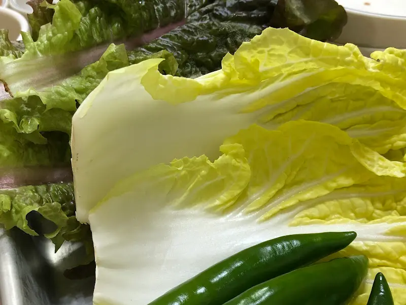 신선한 쌈 채소