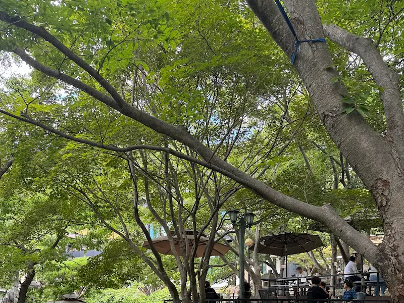 푸르른 나무 그늘 아래 야외 테이블