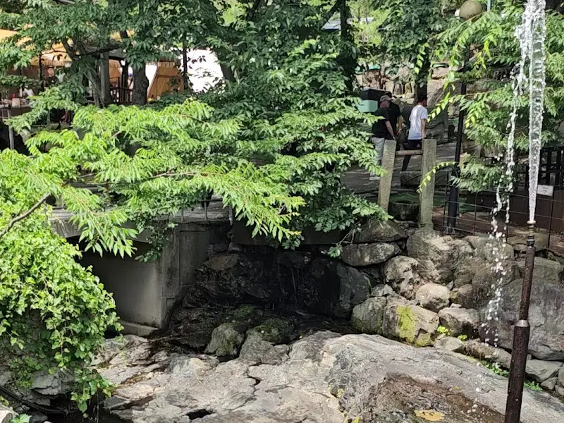 시원하게 흐르는 계곡