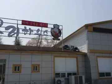 어른들이랑 꼭 가봐야 할 진주 맛집, ‘오리하우스’에서 즐기는 타짜오리불고기의 신세계