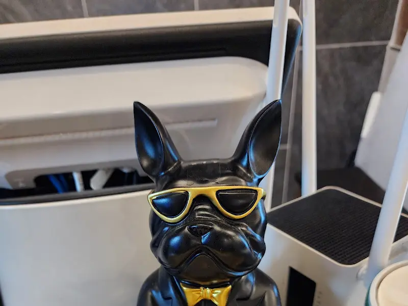 선글라스를 낀 강아지 조형물