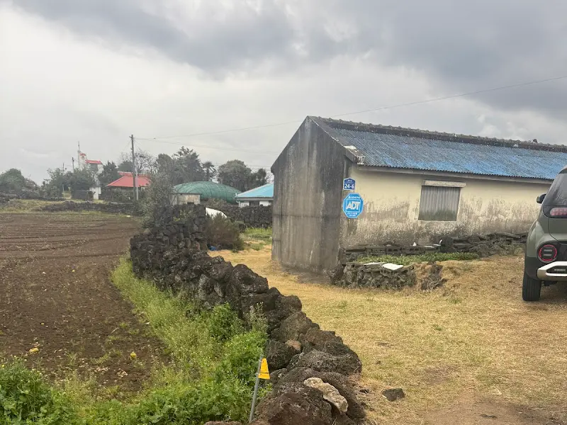 카페 '당근과 깻잎' 주변의 한적한 제주 시골 풍경