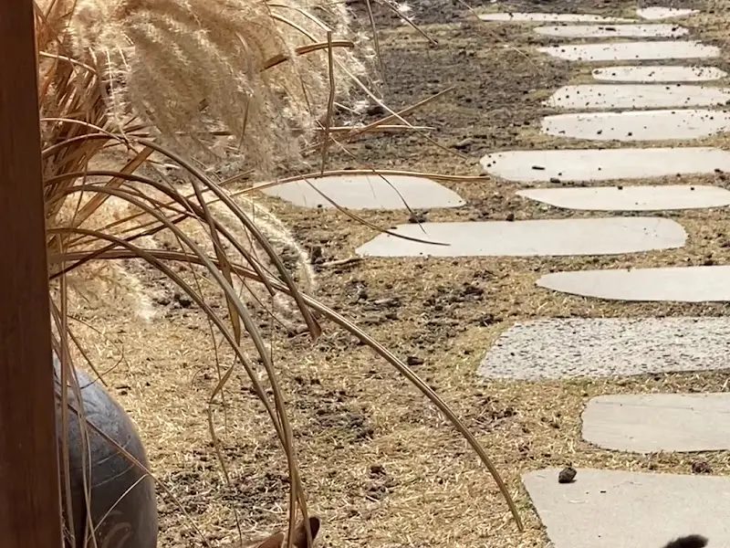 카페 '당근과 깻잎' 앞마당의 소박한 풍경
