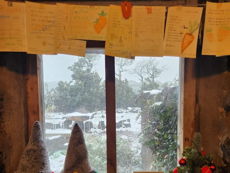 카페 '당근과 깻잎' 창밖으로 보이는 풍경