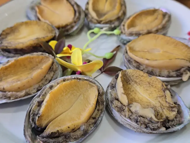 남경전복 전복찜 클로즈업