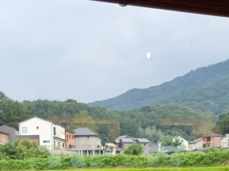 돈까스잔치 마성점 창밖 풍경