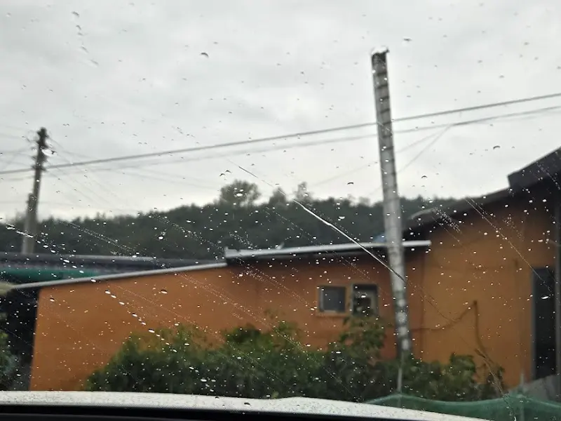 비오는 날, 식당 외부에서 바라본 풍경