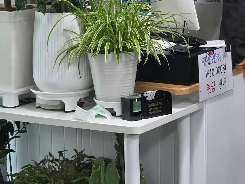 계산대 옆 화분