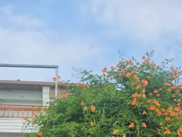 약초의 과학, 미식의 예술: 제천 맛집 바우본가에서 펼쳐지는 건강한 미식 실험