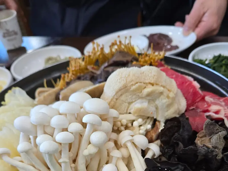 다채로운 버섯과 소고기