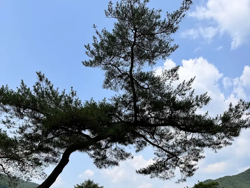 카페 주변 풍경