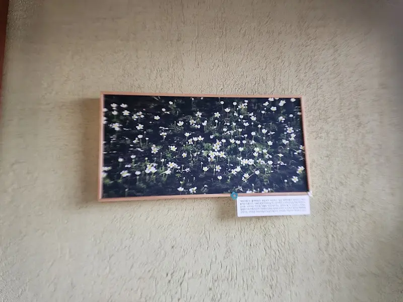 카페 내부 액자