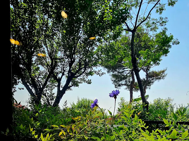 카페 주변 풍경