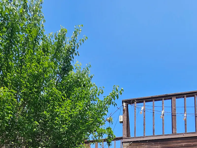 카페 외부 풍경