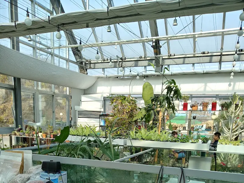 온실 천장의 모습