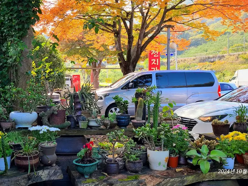 별천지가든 앞 화분