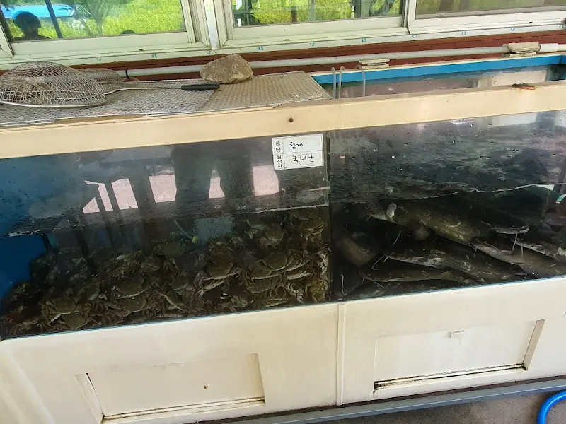 별천지가든 수족관