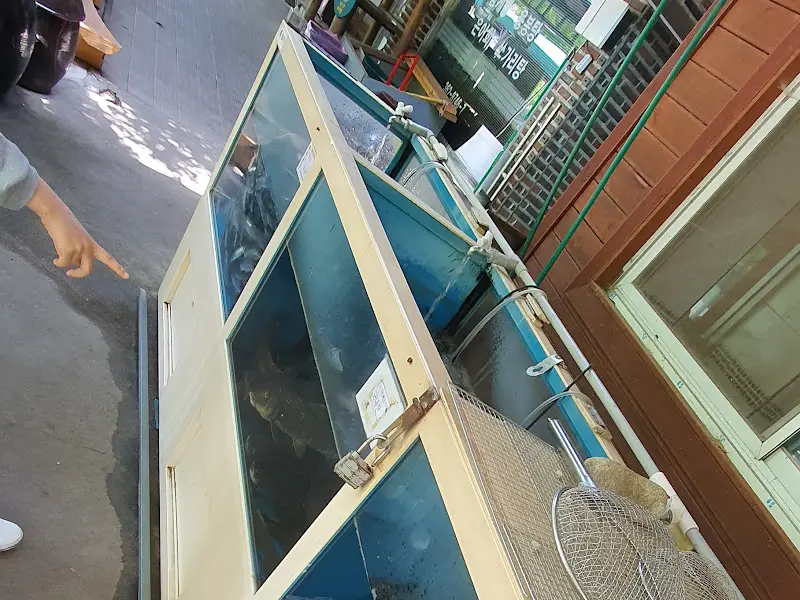 별천지가든 수족관 2