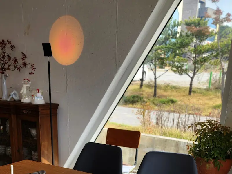 아스테리아 테르니 내부