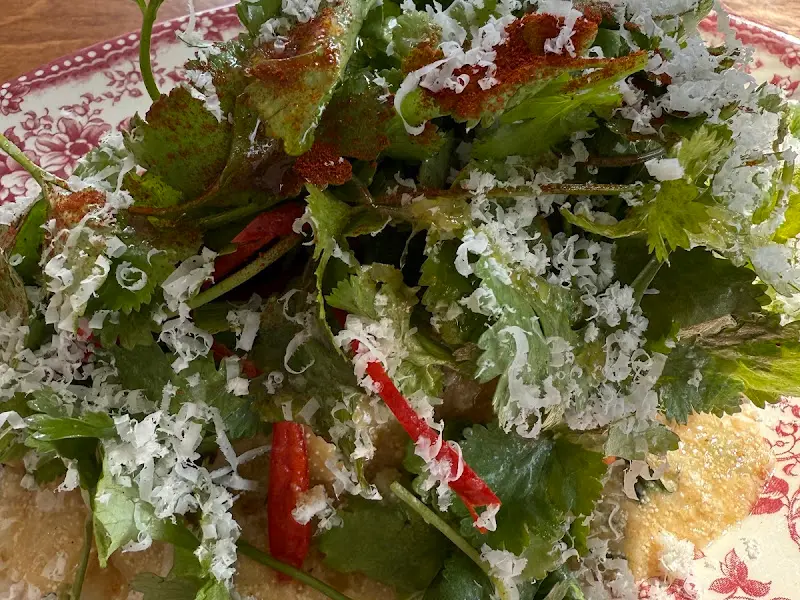 고수가 듬뿍 들어간 파스타