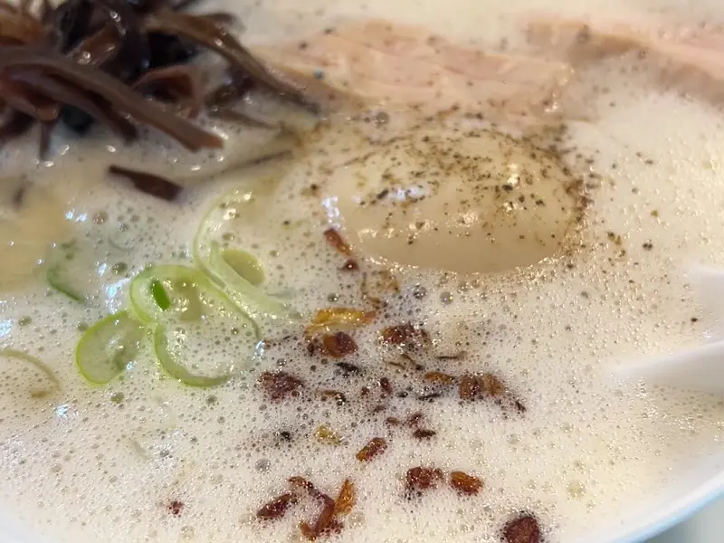 토리빠이탄 라멘의 뽀얀 국물과 촉촉한 반숙 계란