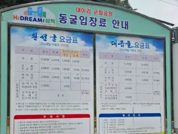 모노레일 타고 떠나는 삼척 대금굴, 잊지 못할 추억 속으로! 강원도 맛집 여행