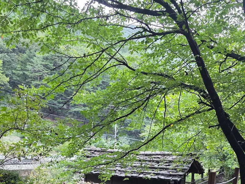 대금굴 주변 풍경