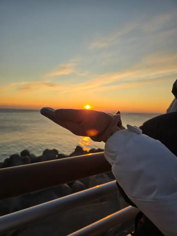 바다와 함께 즐기는 회