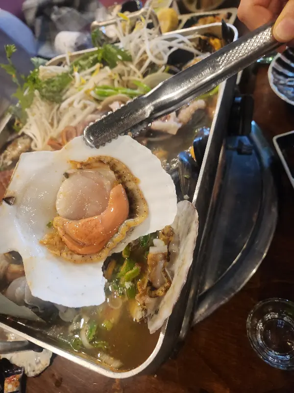 가리비의 아름다운 자태