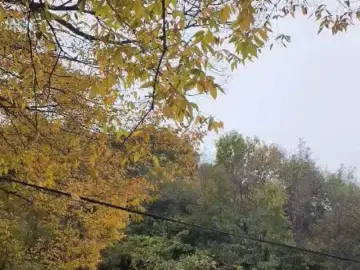 가을 정취에 취하는 거창 인풍정식당, 숨겨진 두부 맛집 발견