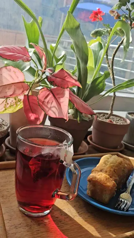 따뜻한 차와 구움 과자