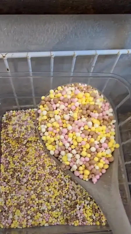 달콤한 구슬 아이스크림