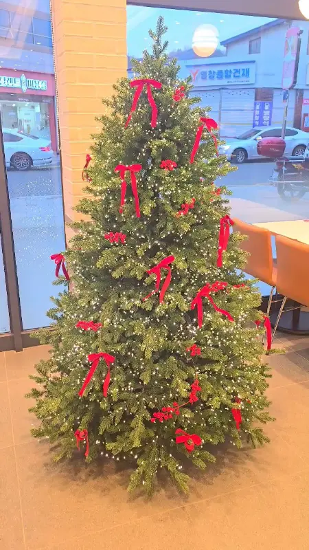 크리스마스 트리