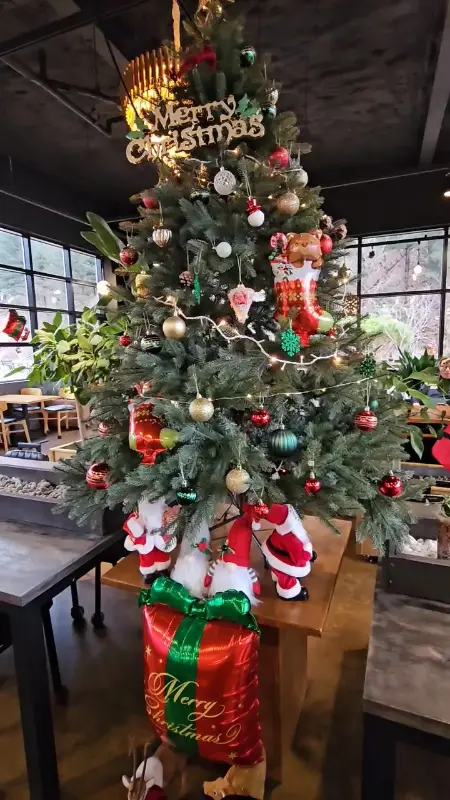 크리스마스 트리