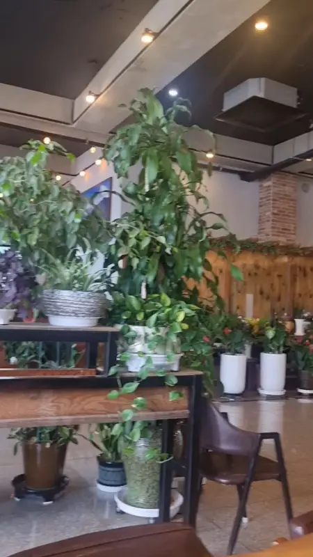 카페 내부의 식물 장식