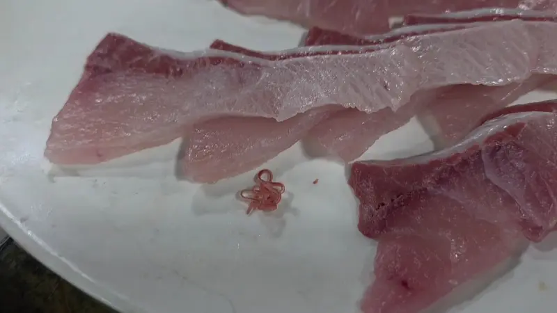 푸른바다횟집 방어 클로즈업