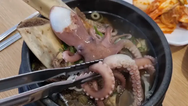 갈낙탕 속 낙지