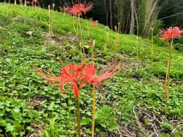 진주에서 맛보는 인생 오리전골, 일오삼할매백반 여기가 바로 레전드 맛집