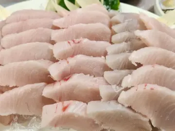 강릉에서 맛보는 특별한 삼치회, 대관령횟집 여기 진짜 괜찮네