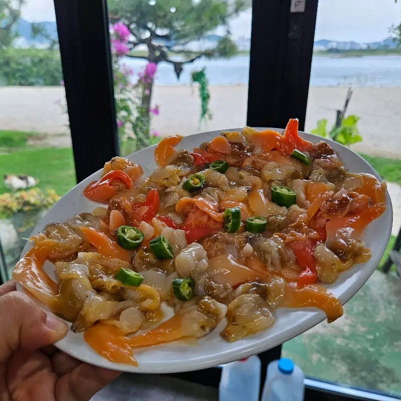 싱싱한 갈미조개 회 한 접시