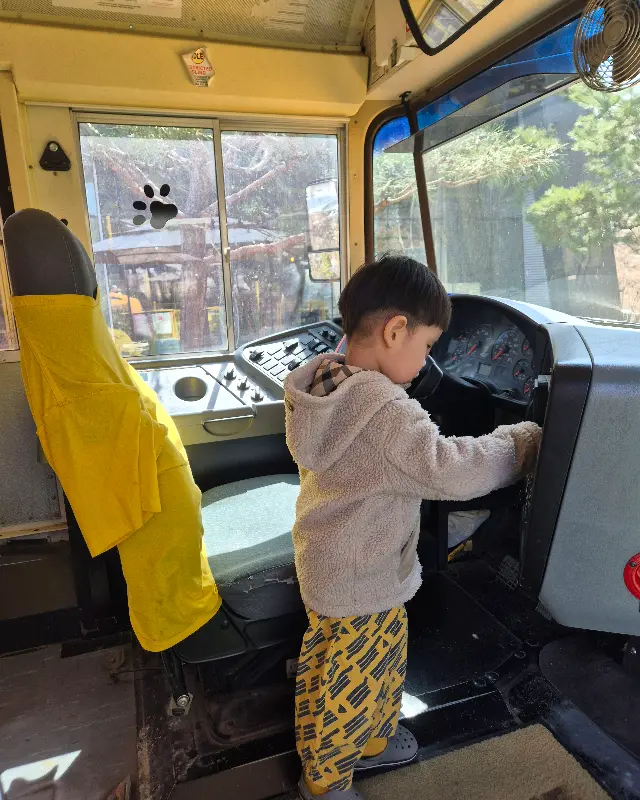 스쿨버스 운전석에 앉아있는 아이